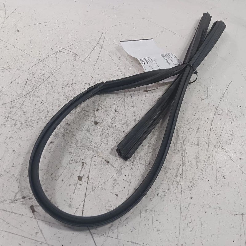 Hyundai Elantra Door Glass Window Seal Rubber Left Driver Front  2017 