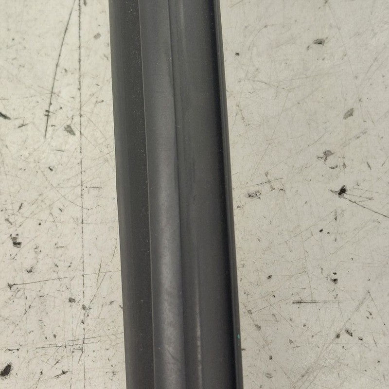 Buick Encore GX Door Glass Window Seal Rubber Left Driver Front  2022 