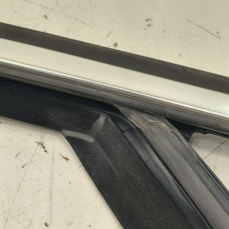 Volvo S60 Door Glass Window Seal Rubber Right Passenger Front  2018 20