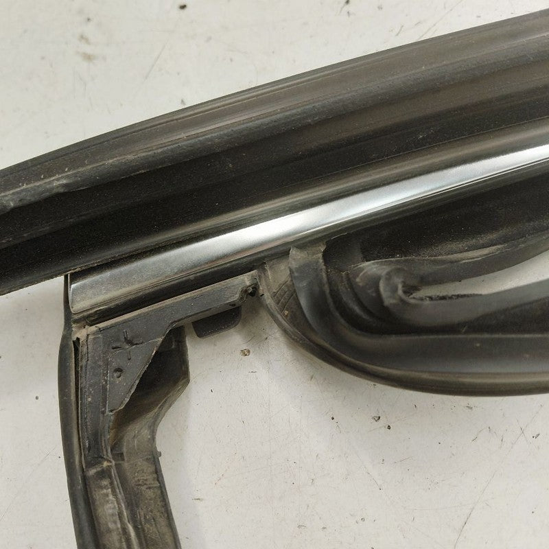 Cadillac XTS Door Glass Window Seal Rubber Left Driver Rear Back      