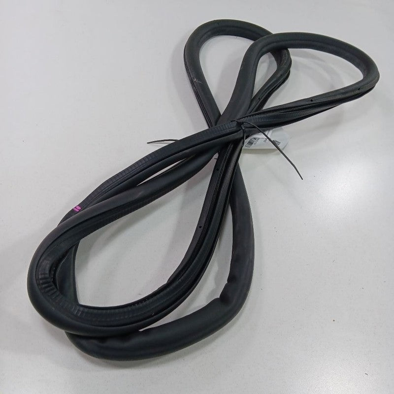 Buick Encore On Body Door Jamb Seal Rear Right Passenger Back  2019 2018 2017