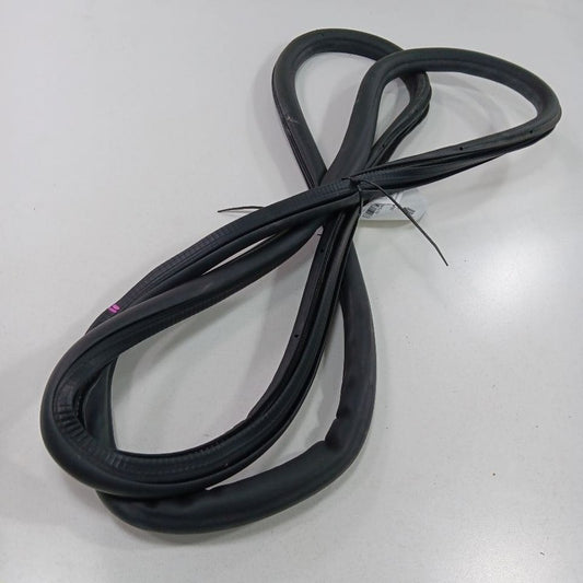 Buick Encore On Body Door Jamb Seal Rear Right Passenger Back  2019 2018 2017