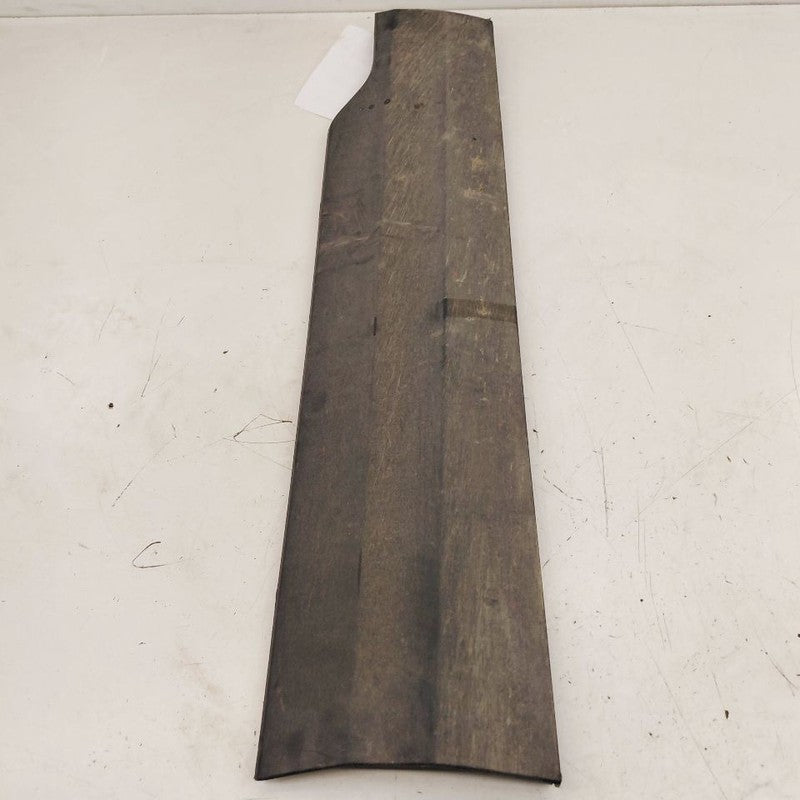 Chevy Trailblazer Door Molding Trim Strip Right Passenger Side Front  