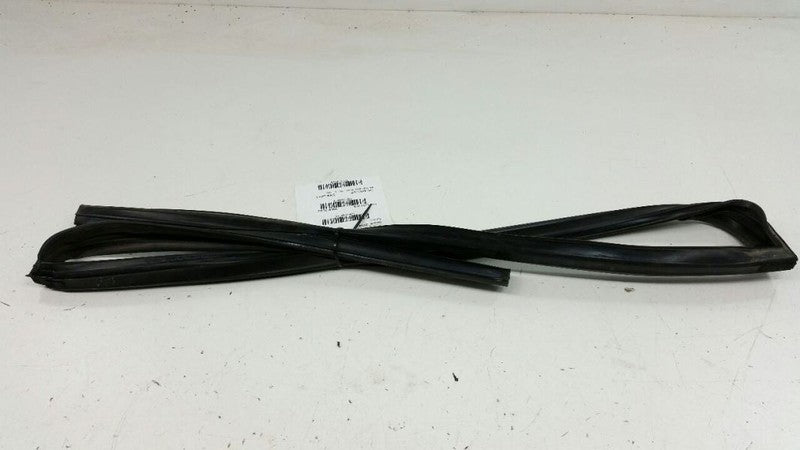Nissan Altima Door Glass Window Seal Rubber Gasket Right Passenger Rear 2005 OEM