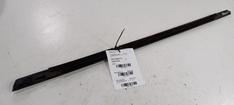 Cadillac CTS Door Glass Window Weather Strip Trim Rear Left Back 2010 2011 2012 