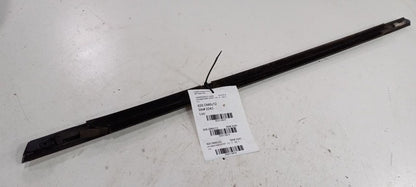 Cadillac CTS Door Glass Window Weather Strip Trim Rear Left Back 2010 2011 2012 