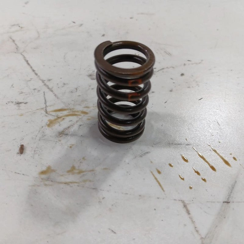 Jeep Compass 2.4 Cylinder Head Intake Valve Spring 2017 2018 2019 2020