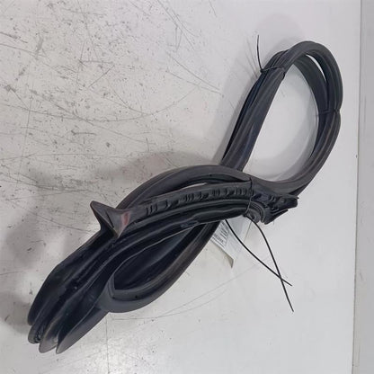 Mini Cooper On Body Door Jamb Seal Gasket Front Left Driver  2016 2017