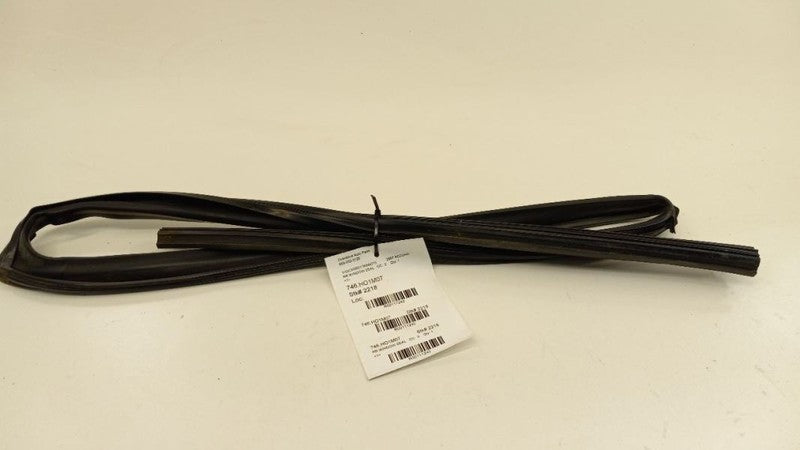 Honda Accord Door Glass Window Seal Rubber Right Passenger Rear Back 2007 2006 2