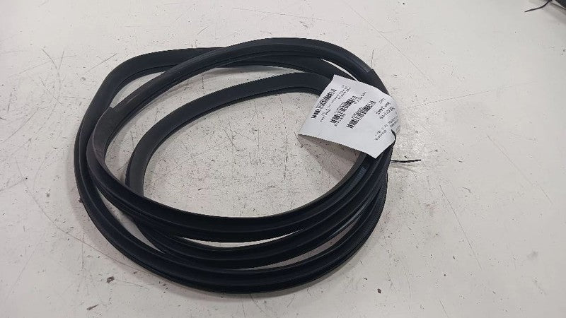 Kia Forte On Body Door Jamb Seal Rear Left Back  2014 2015 2016 2017 2018