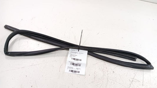 Honda Insight Door Glass Window Seal Rubber Right Passenger Front 2010