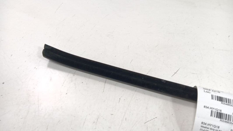 Hyundai Sonata Right Front Weather Strip Interior 2018 2019 OEM