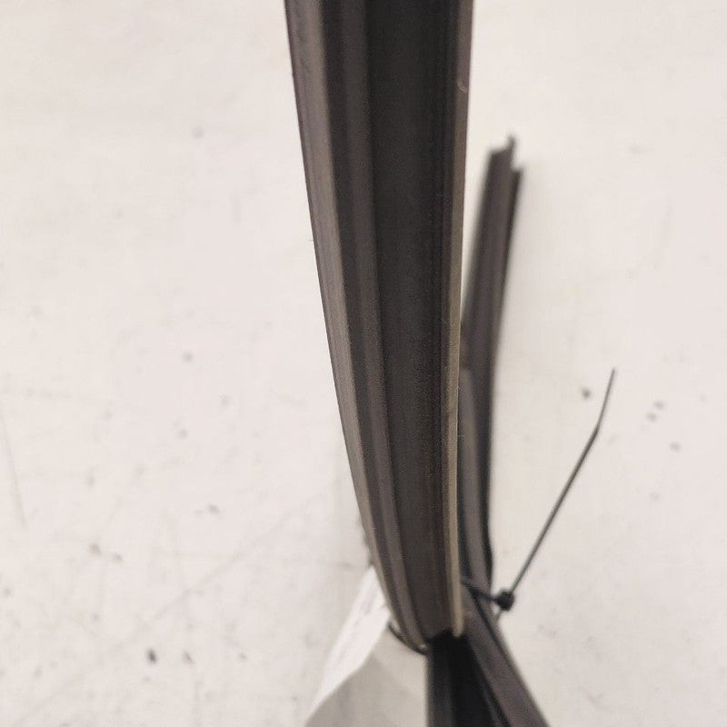 Honda Clarity Door Glass Window Seal Rubber Left Driver Rear Back 2018