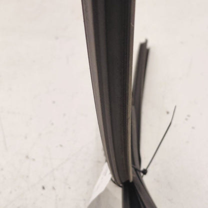 Honda Clarity Door Glass Window Seal Rubber Left Driver Rear Back 2018