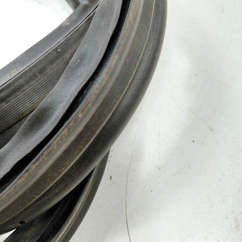 Hyundai Elantra Trunk Lid Hatch Door Rear Back Rubber Seal  2024 2023 