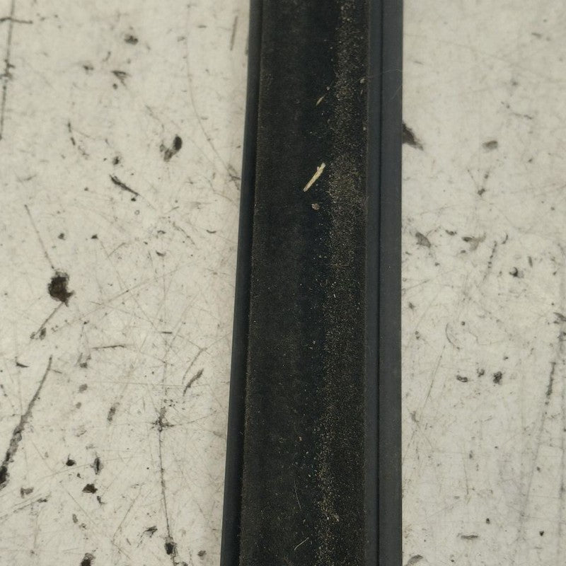 Kia Sorento Door Glass Window Weather Strip Trim Front Right Passenger