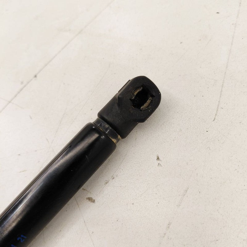 Chevy Trailblazer Passenger Right Hatchback Trunk Lid Shock Strut Supp