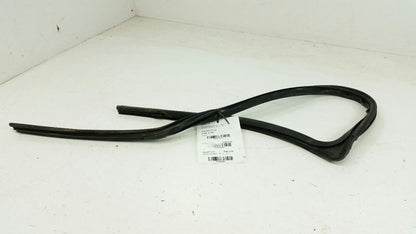  2009 Ford Focus Door Glass Window Seal Rubber Gasket Right Passenger Front 2010