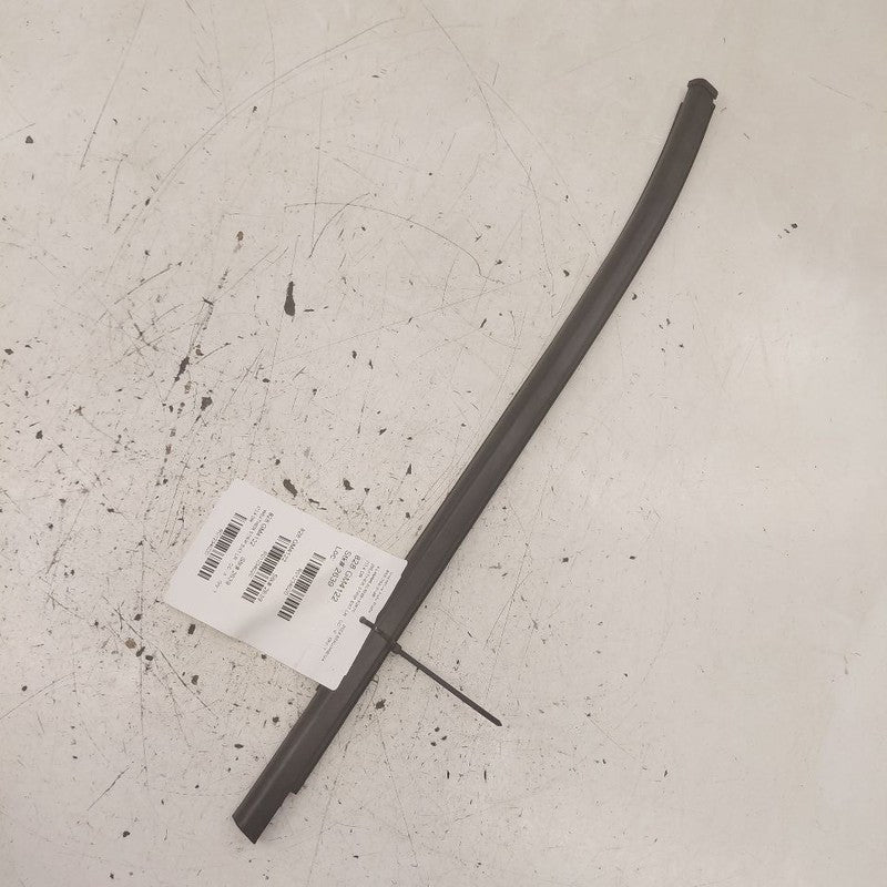 Buick Encore GX Door Glass Window Weather Strip Trim Rear Left Driver 