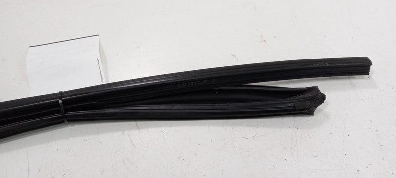 Honda Accord Door Glass Window Seal Rubber Left Rear Back 2013 2014 20
