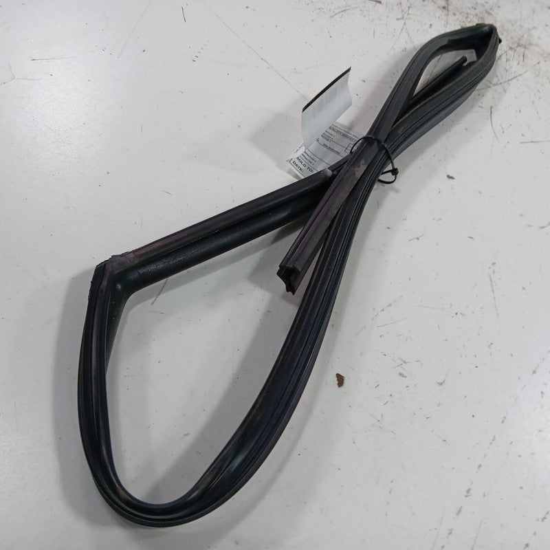 Kia Sportage Door Glass Window Seal Rubber Right Passenger Front  2022