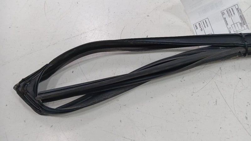 Acura MDX Door Glass Window Seal Rubber Right Passenger Front 2010 201