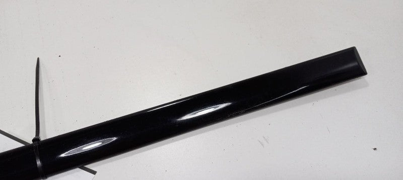 Volkswagen Jetta Door Molding Trim Strip Left Side Rear Back 2003 2002