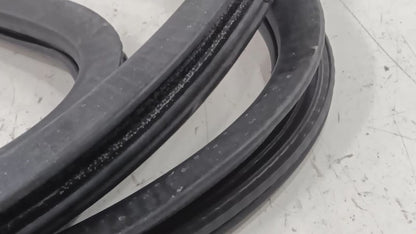 Dodge Dart On Body Door Jamb Seal Front Right Passenger  2013 2014 2015 2016