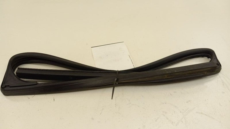 Chevy Traverse Door Glass Window Seal Rubber Right Passenger Rear Back 2009 2010