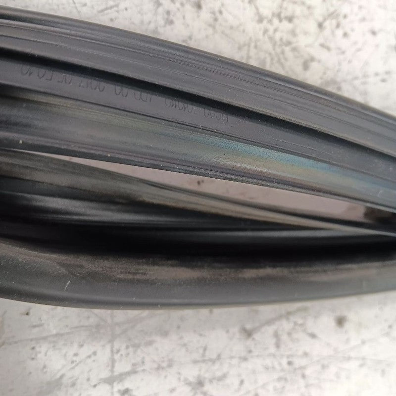 Nissan Maxima Door Glass Window Seal Rubber Right Passenger Rear Back 