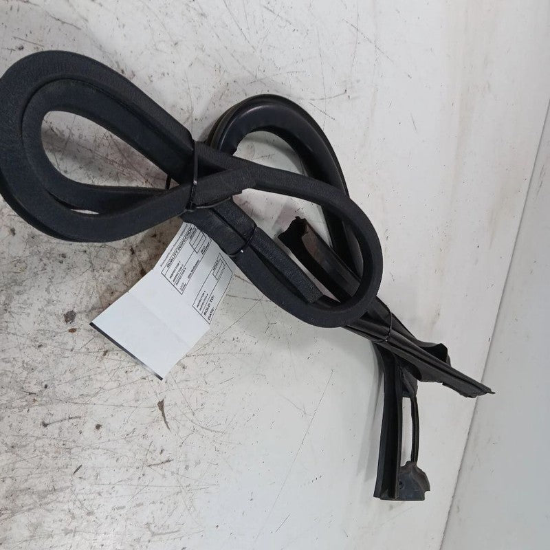 Fiat 500 Door Glass Window Seal Rubber Right Passenger Front 2017 2016