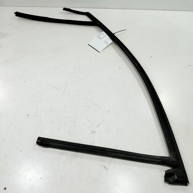 Ford Edge Door Glass Window Seal Rubber Right Passenger Front  2019 20