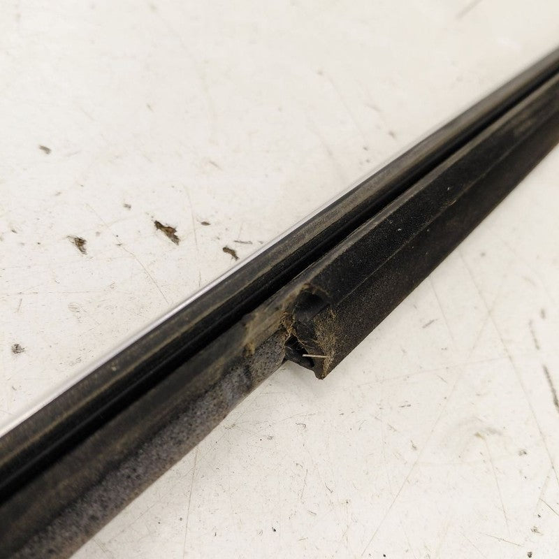 Cadillac XTS Door Glass Window Weather Strip Trim Right Passenger Rear