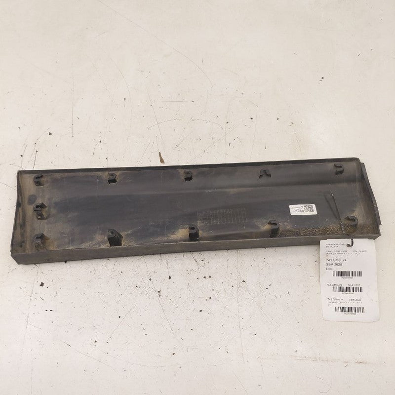 Chevy Equinox Door Molding Trim Strip Left Driver Side Rear Back  2024
