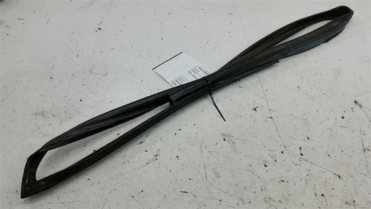 2006 Nissan Maxima Door Glass Window Seal Rubber Gasket Right Passenger Front