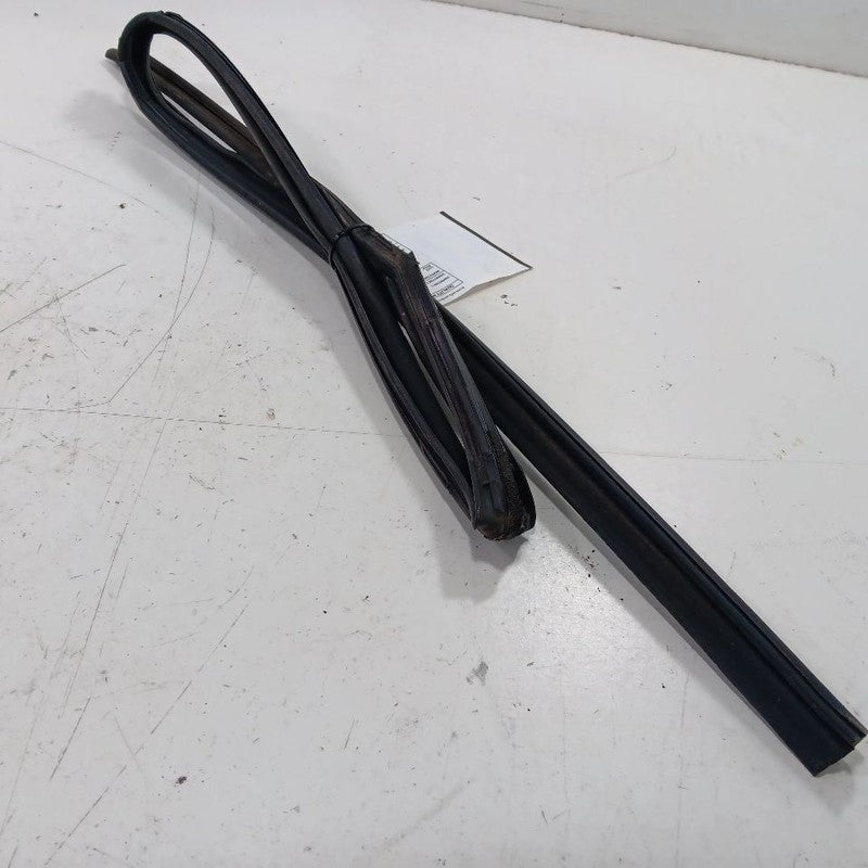 Honda CR-V Door Glass Window Seal Rubber Right Passenger Rear Back  20