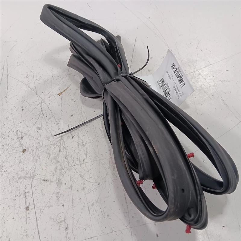 Buick Encore On Door Seal Rubber Left Driver Front  2018 2019 2020