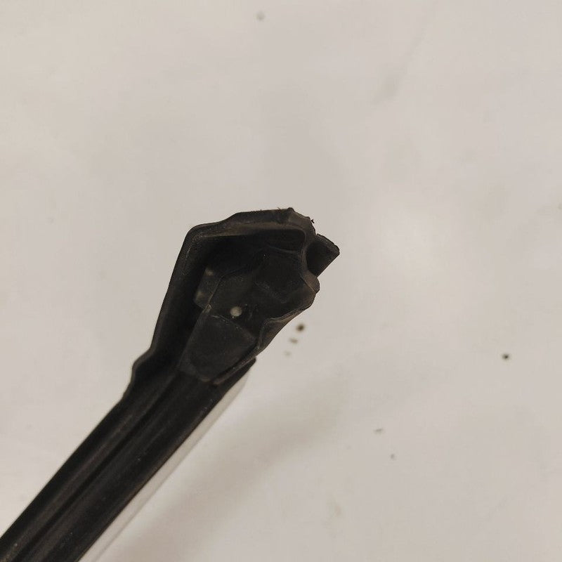 Cadillac XTS Door Glass Window Seal Rubber Left Driver Front      2016