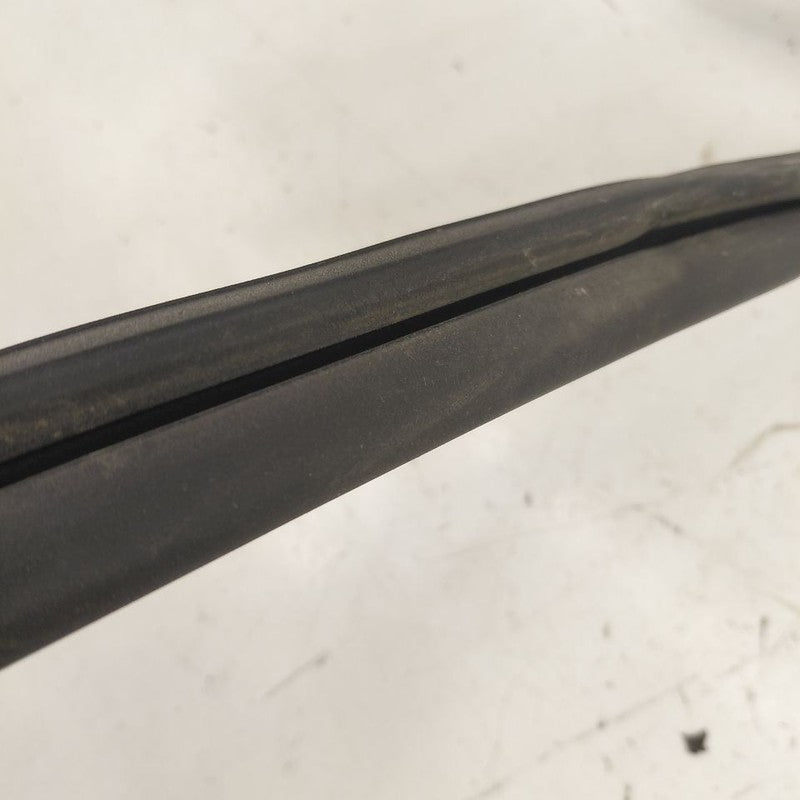 Chevy Volt Door Glass Window Seal Rubber Left Driver Front  2016 2017 