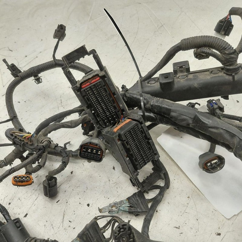 Hyundai Kona Engine Wire Wiring Harness  2.0 2021 2020 2019