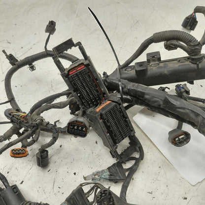 Hyundai Kona Engine Wire Wiring Harness  2.0 2021 2020 2019