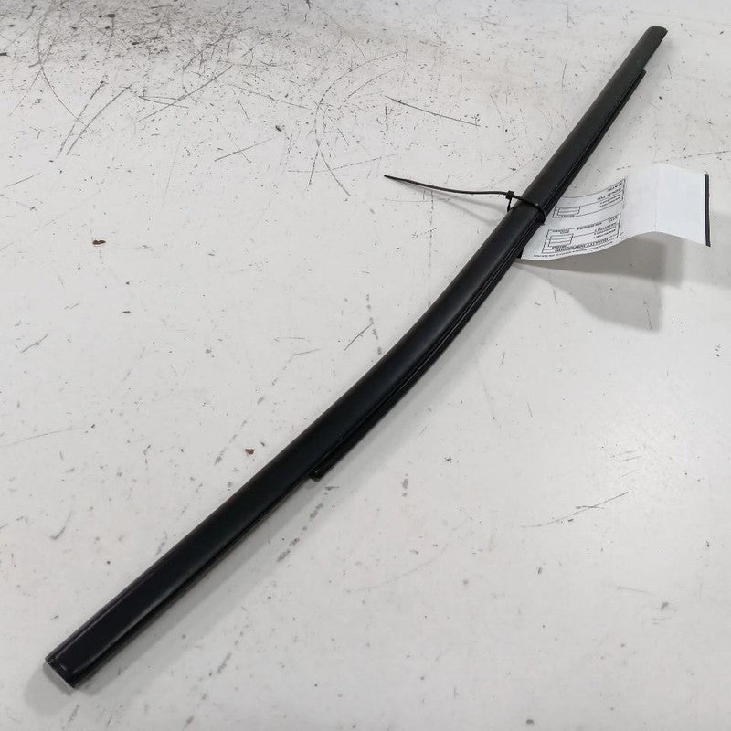 Jeep Compass Door Glass Window Weather Strip Trim Rear Right Passenger Side Back