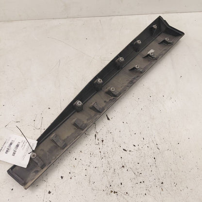 Nissan Rogue Door Molding Trim Strip Right Passenger Side Front  2021 