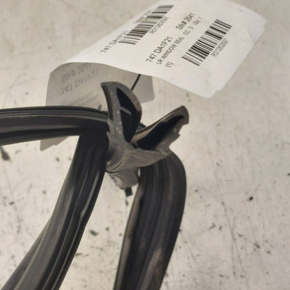 Nissan Rogue Door Glass Window Seal Rubber Left Driver Rear Back  2021