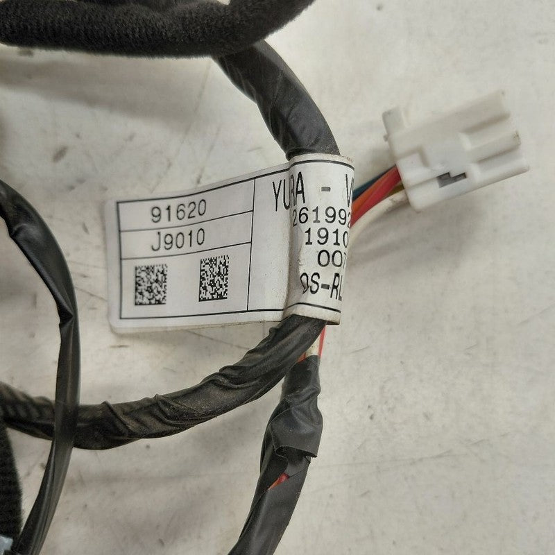 Hyundai Kona Door Harness Wire Wiring Left Driver Rear  2021 2020 2019