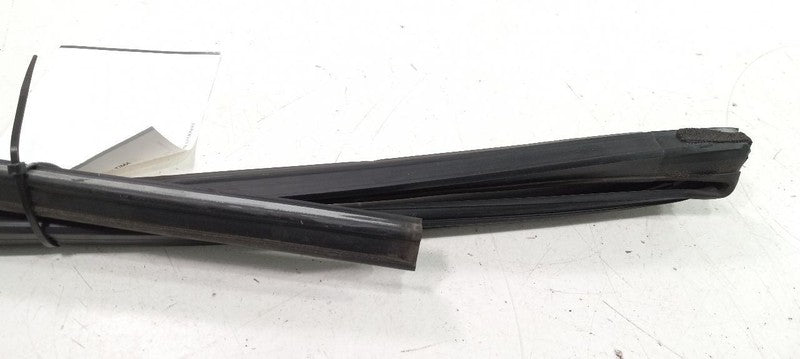 Nissan Altima Door Glass Window Seal Rubber Left Rear Back 2010 2009 2008