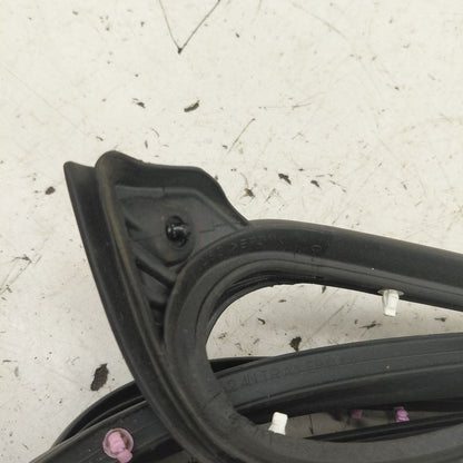 Mitsubishi Mirage On Door Seal Rubber Left Driver Front  2024 2023 202