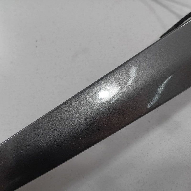 Ford Ecosport Left Rear Door Trim 2022 2021 2020 2019 2018 OEM
