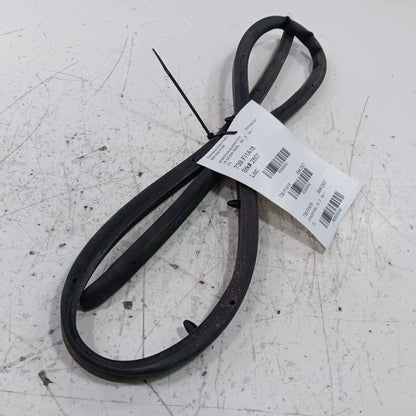 Fiat 500 On Door Seal Rubber Left Rear Back 2018 OEM