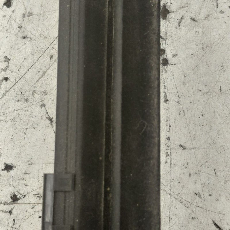 Hyundai Santa Fe Door Glass Window Weather Strip Trim Rear Left Driver